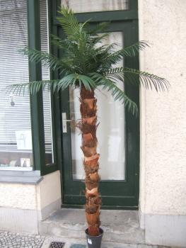 Künstliche Phönix-Palme ca. 2,20mTop-Qualität Bestseller